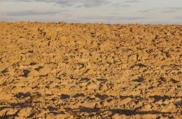 Dry land. Global warning and climate change. Drought and desertification