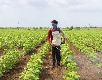 Farmer spraying cotton field with pesticides and herbicides.