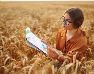 Farmer woman in a wheat field touches the ears of barley. Rich harvest concept.